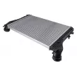 Intercooler, échangeur TEKNÖR CNG-AU-018 - Visuel 2