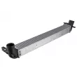 Intercooler, échangeur TEKNÖR CNG-AU-019 - Visuel 1