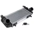 Intercooler, échangeur TEKNÖR CNG-AU-021 - Visuel 1