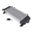 Intercooler, échangeur TEKNÖR CNG-AU-021 - Visuel 2