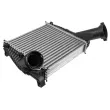 Intercooler, échangeur TEKNÖR CNG-AU-022 - Visuel 1