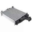 Intercooler, échangeur TEKNÖR CNG-AU-022 - Visuel 2