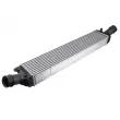 Intercooler, échangeur TEKNÖR CNG-AU-024 - Visuel 1