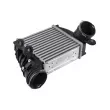 Intercooler, échangeur TEKNÖR CNG-AU-026 - Visuel 1
