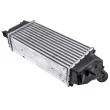 Intercooler, échangeur TEKNÖR CNG-FR-014 - Visuel 2