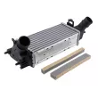Intercooler, échangeur TEKNÖR CNG-FR-018 - Visuel 1