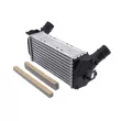 Intercooler, échangeur TEKNÖR CNG-FR-018 - Visuel 2
