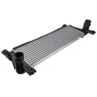 Intercooler, échangeur TEKNÖR CNG-FR-020 - Visuel 1