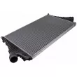 Intercooler, échangeur TEKNÖR CNG-FT-013 - Visuel 1