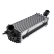 Intercooler, échangeur TEKNÖR CNG-KA-000 - Visuel 1