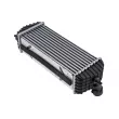 Intercooler, échangeur TEKNÖR CNG-KA-000 - Visuel 2