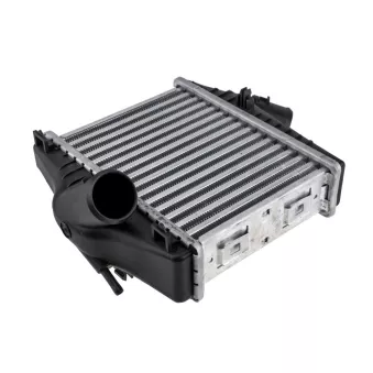 Intercooler, échangeur TEKNÖR CNG-ME-006