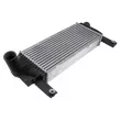 Intercooler, échangeur TEKNÖR CNG-NS-001 - Visuel 1