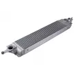 Intercooler, échangeur TEKNÖR CNG-NS-004 - Visuel 1