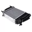 Intercooler, échangeur TEKNÖR CNG-NS-005 - Visuel 2