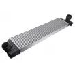 Intercooler, échangeur TEKNÖR CNG-NS-007 - Visuel 1