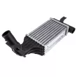 Intercooler, échangeur TEKNÖR CNG-PL-003 - Visuel 1
