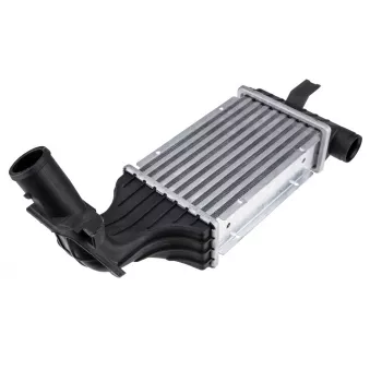 Intercooler, échangeur TEKNÖR CNG-PL-003