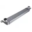 Intercooler, échangeur TEKNÖR CNG-PL-004 - Visuel 1