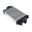 Intercooler, échangeur TEKNÖR CNG-PL-008 - Visuel 2