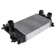 Intercooler, échangeur TEKNÖR CNG-PL-009 - Visuel 1