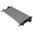 Intercooler, échangeur TEKNÖR CNG-PL-010 - Visuel 2