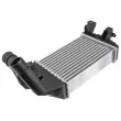 Intercooler, échangeur TEKNÖR CNG-PL-011 - Visuel 1