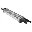Intercooler, échangeur TEKNÖR CNG-PL-012 - Visuel 2