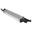 Intercooler, échangeur TEKNÖR CNG-PL-013 - Visuel 2