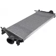 Intercooler, échangeur TEKNÖR CNG-PL-014 - Visuel 1
