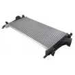 Intercooler, échangeur TEKNÖR CNG-PL-014 - Visuel 2