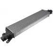 Intercooler, échangeur TEKNÖR CNG-PL-015 - Visuel 1