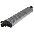Intercooler, échangeur TEKNÖR CNG-PL-017 - Visuel 1