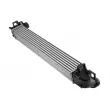Intercooler, échangeur TEKNÖR CNG-RE-007 - Visuel 2