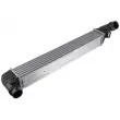 Intercooler, échangeur TEKNÖR CNG-RE-008 - Visuel 1