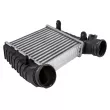 Intercooler, échangeur TEKNÖR CNG-SK-000 - Visuel 1