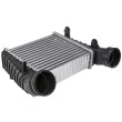 Intercooler, échangeur TEKNÖR CNG-SK-001 - Visuel 1