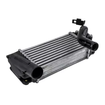 Intercooler, échangeur TEKNÖR CNG-TY-001