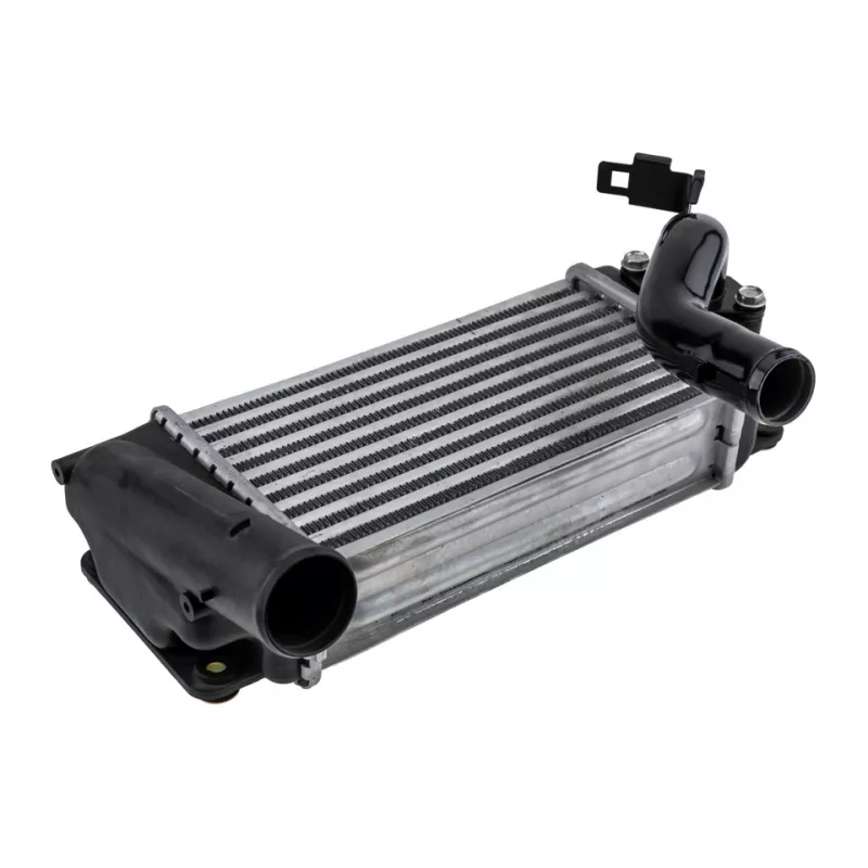 Intercooler, échangeur TEKNÖR CNG-TY-001