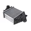 Intercooler, échangeur TEKNÖR CNG-VW-016 - Visuel 2