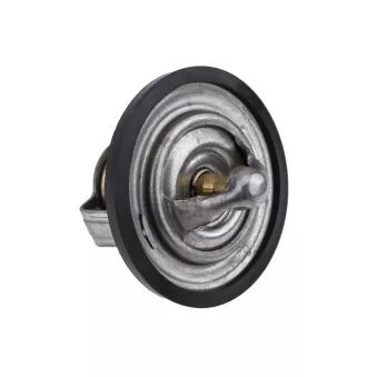 Thermostat, liquide de refroidissement TEKNÖR CTM-CH-034