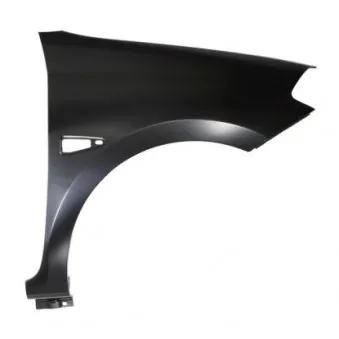 Aile avant droit BLIC