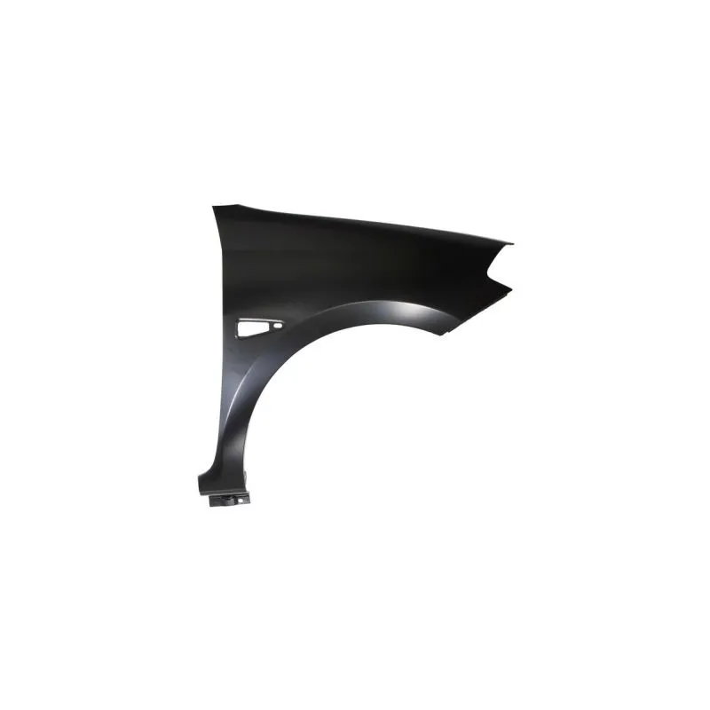 Aile avant droit BLIC 6504-04-6030312P