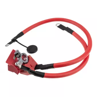 Adaptateur de batterie TEKNÖR EBP-BM-010