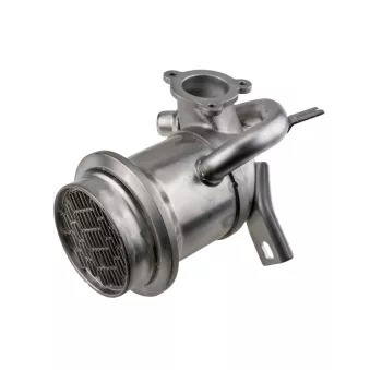 Radiateur, réaspiration des gaz d'échappement TEKNÖR EGR-VW-025A