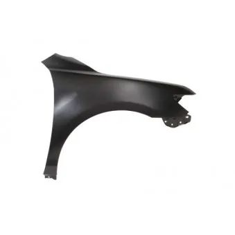 Aile avant droit BLIC 6504-04-8164312P