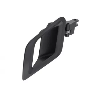 Poignet de porte, équipment intérieur avant gauche TEKNÖR
