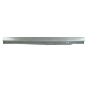 Marche-pied BLIC 6505-06-1108016P