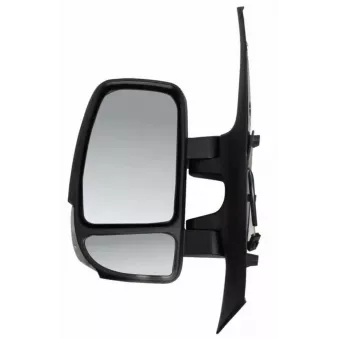 Rétroviseur extérieur RICAM R02700S