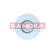 Jeu de 2 disques de frein avant KAMOKA 103052 - Visuel 1